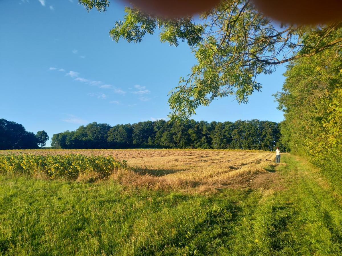 Haus Ringgau - Urlaub, Gemeinschaft Und Erlebnis Im Herzen Von Deutschland Herleshausen Экстерьер фото