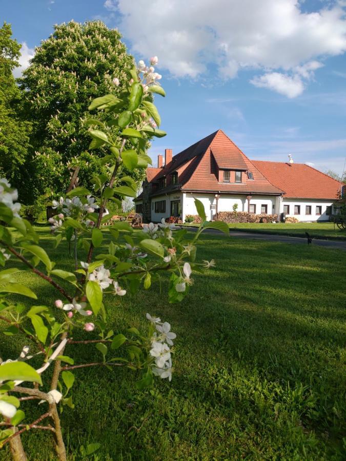 Haus Ringgau - Urlaub, Gemeinschaft Und Erlebnis Im Herzen Von Deutschland Herleshausen Экстерьер фото