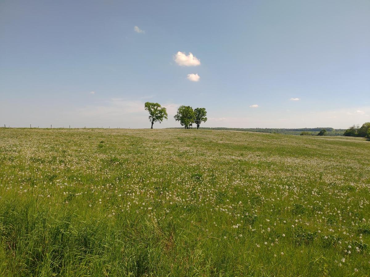 Haus Ringgau - Urlaub, Gemeinschaft Und Erlebnis Im Herzen Von Deutschland Herleshausen Экстерьер фото