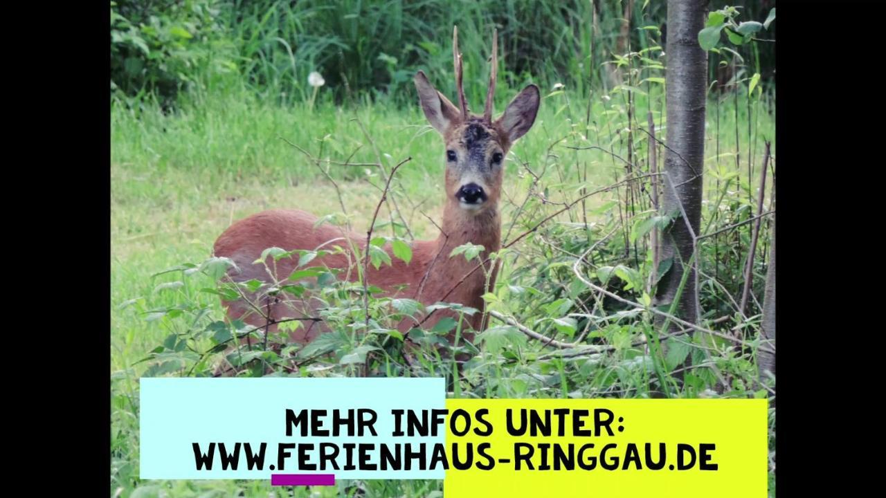 Haus Ringgau - Urlaub, Gemeinschaft Und Erlebnis Im Herzen Von Deutschland Herleshausen Экстерьер фото