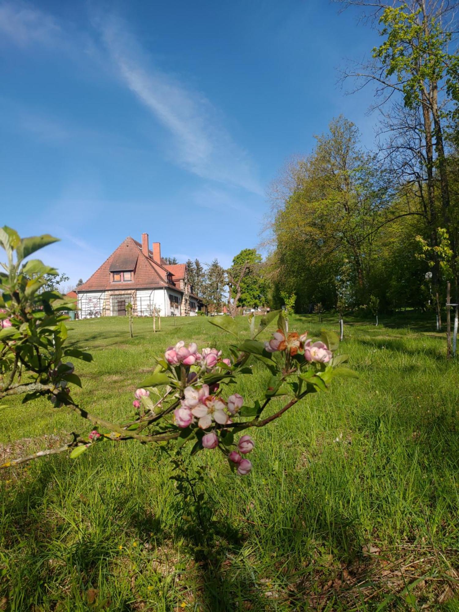 Haus Ringgau - Urlaub, Gemeinschaft Und Erlebnis Im Herzen Von Deutschland Herleshausen Экстерьер фото